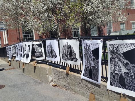 Many of our prints drying in the wind on Big Print Day.